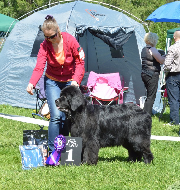 Фотография № 155449