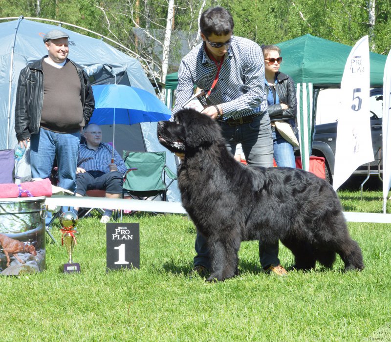 Фотография № 155466