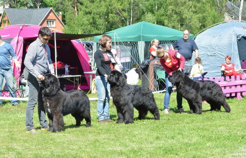 Фотография № 155467