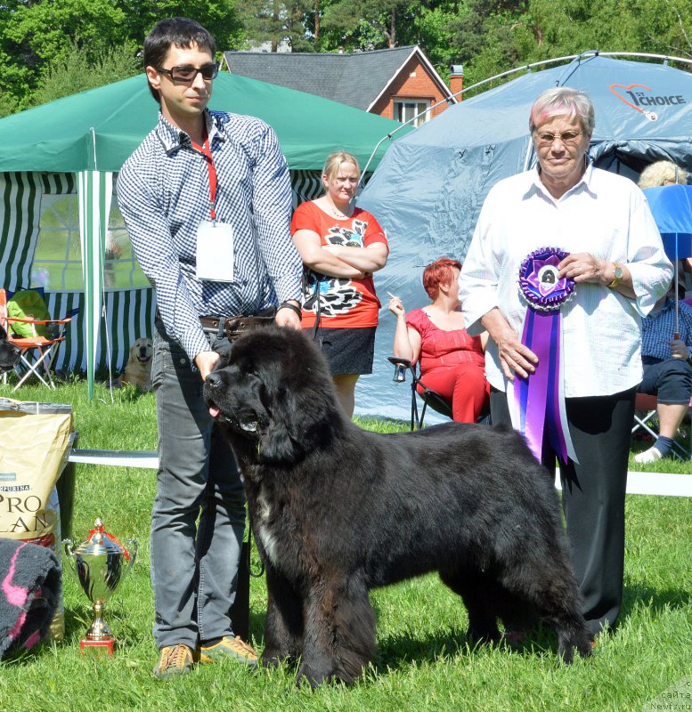 Фотография № 155468