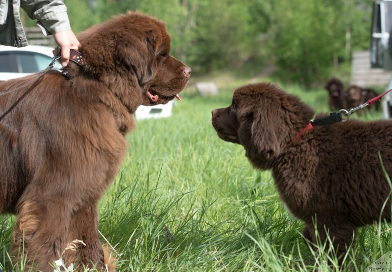 Фотография № 155473