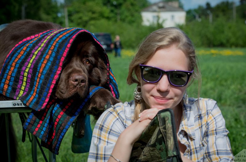 Фото: ньюфаундленд Акватория Келвин Хизер Хани (Aquatoriya Kelvin Heather Honey), Александра