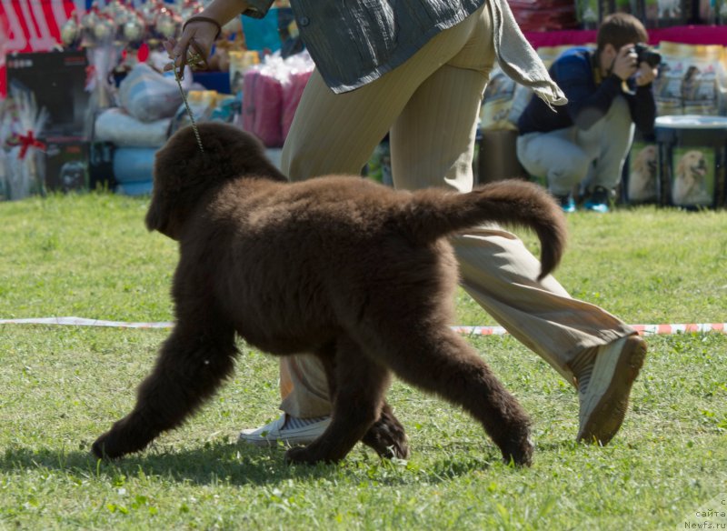 Фотография № 155478