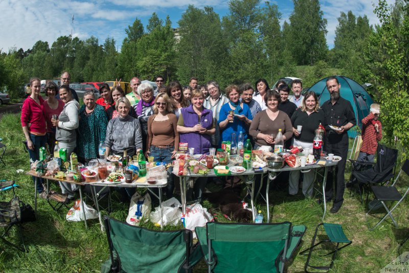 Фотография № 155482