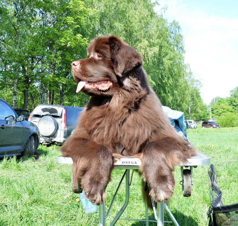 Фотография № 155484