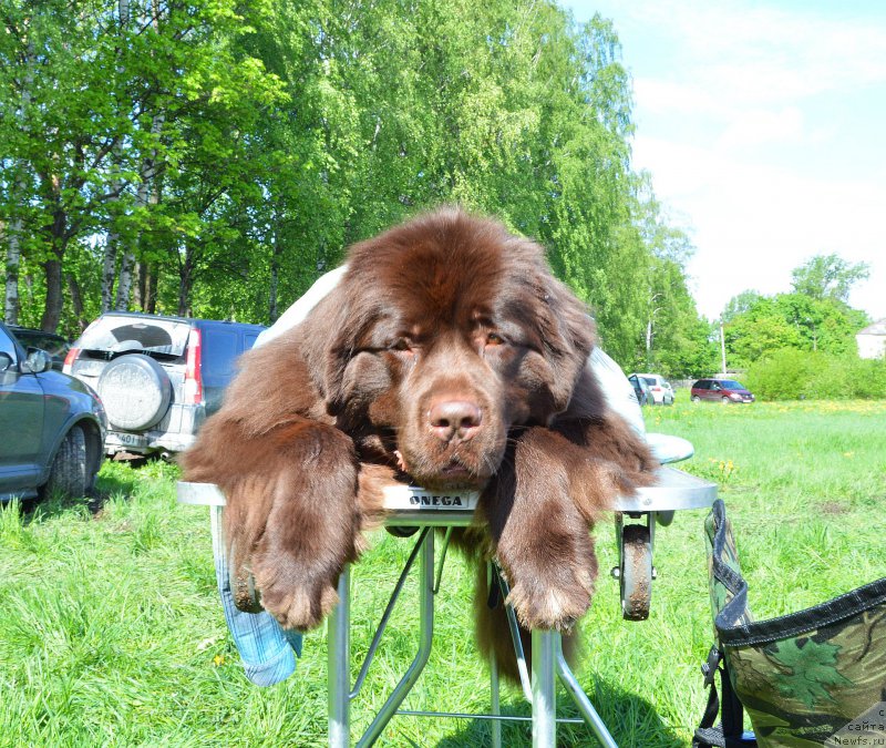 Фотография № 155486