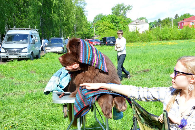 Фотография № 155487