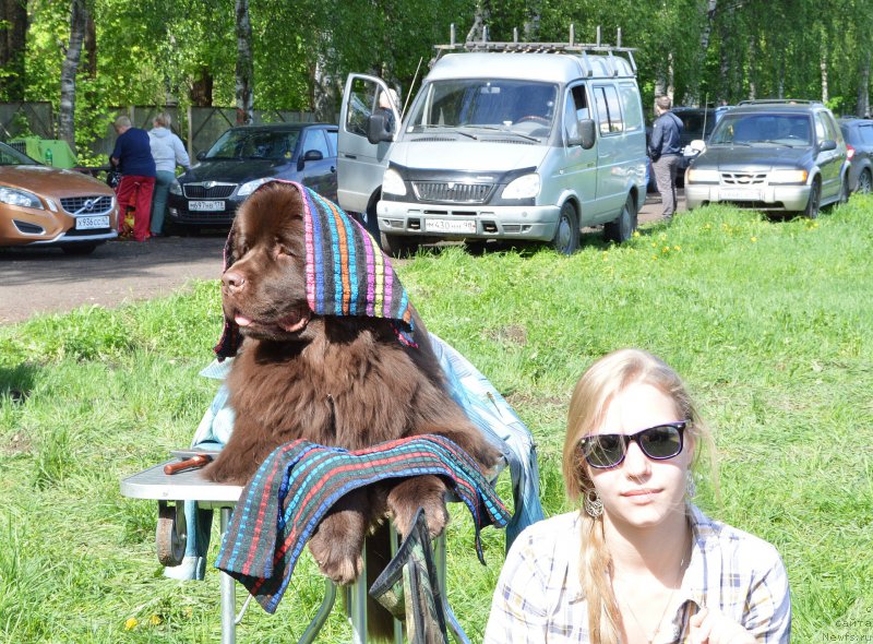 Фотография № 155488