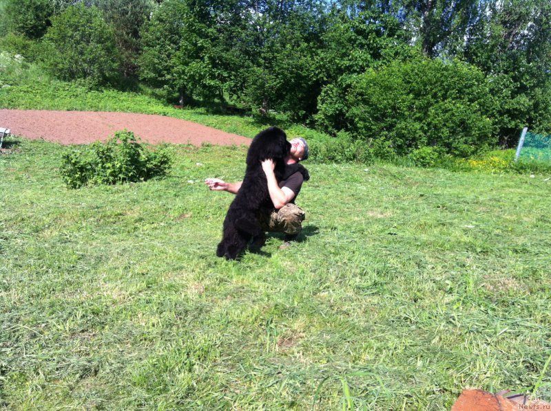 Фотография № 155492