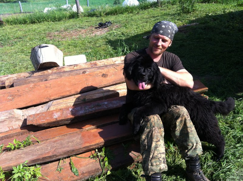 Фотография № 155494