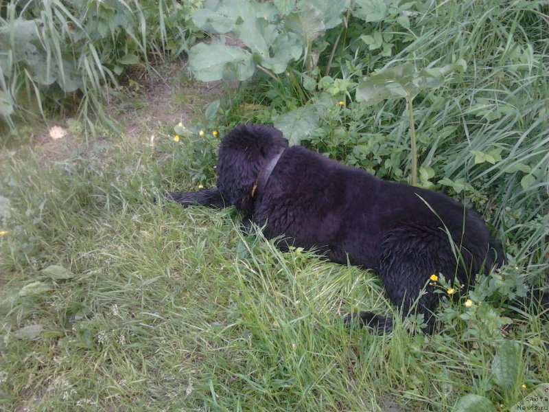 Фотография № 155498