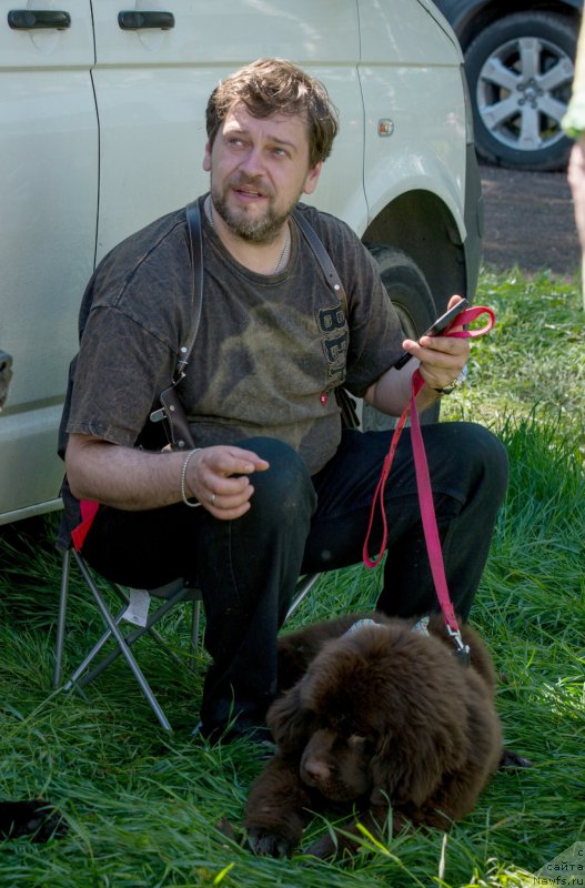 Фото: ньюфаундленд Velyke Malyatko Dnister, и Сергей Поляков