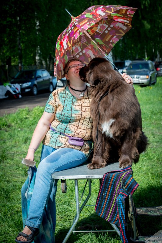 Фото: ньюфаундленд Акватория Келвин Хизер Хани (Aquatoriya Kelvin Heather Honey), Екатерина Бенкен