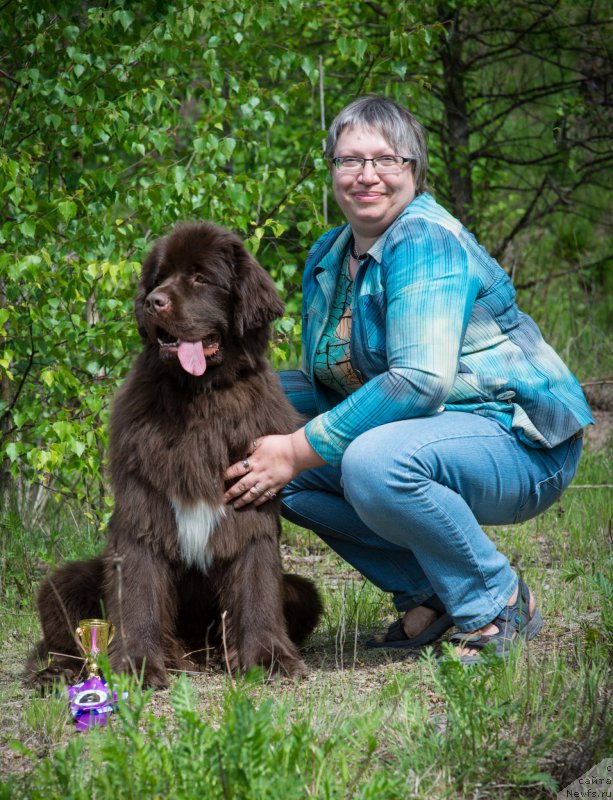 Фото: ньюфаундленд Акватория Келвин Хизер Хани (Aquatoriya Kelvin Heather Honey), Екатерина Бенкен