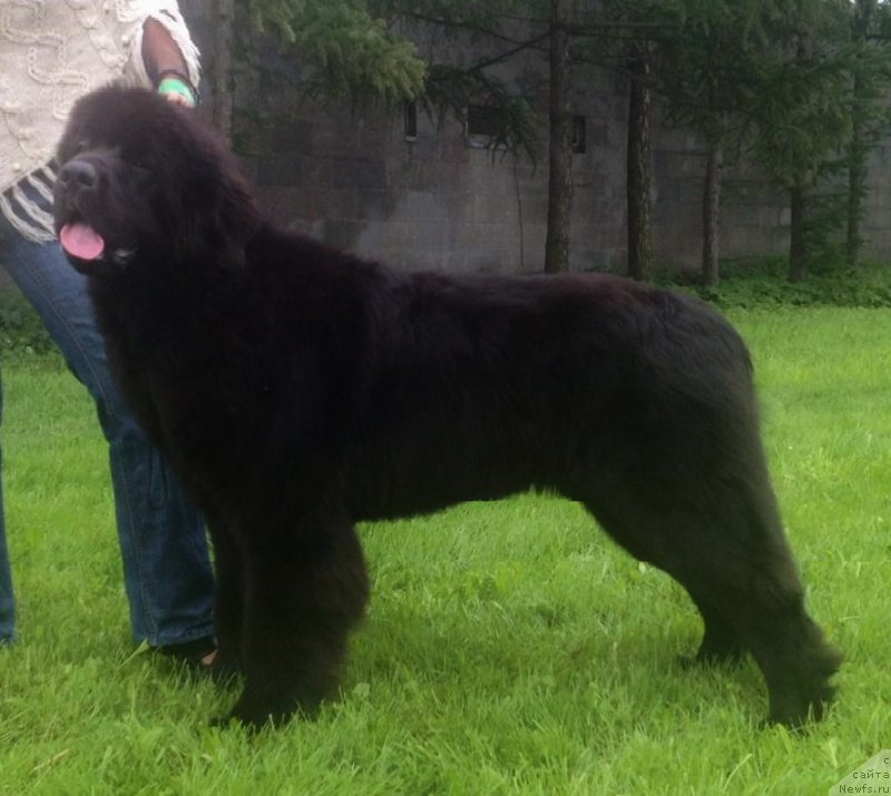 Фотография № 155508