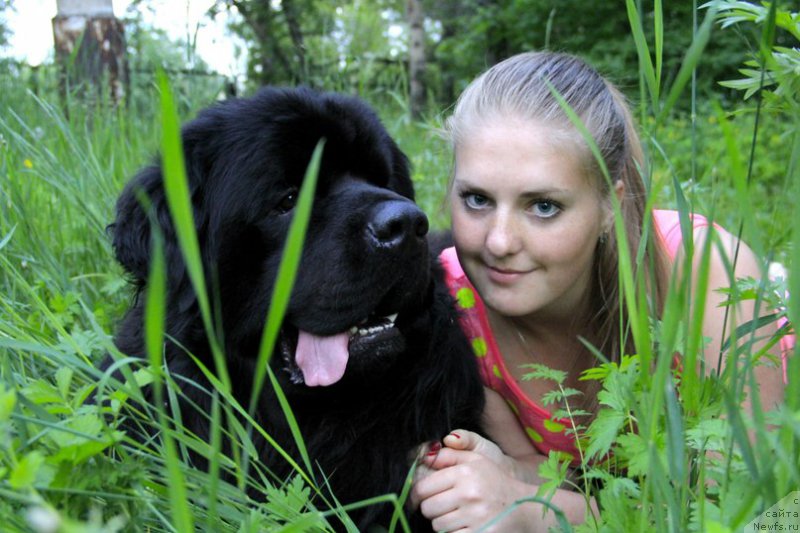 Фото: ньюфаундленд Акватория Келвин Шедевр