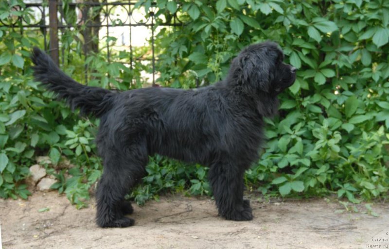 Фотография № 155561