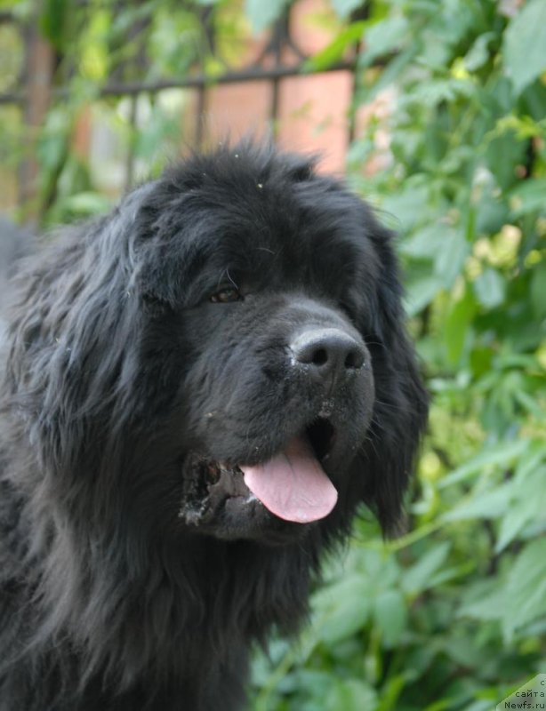 Фотография № 155565