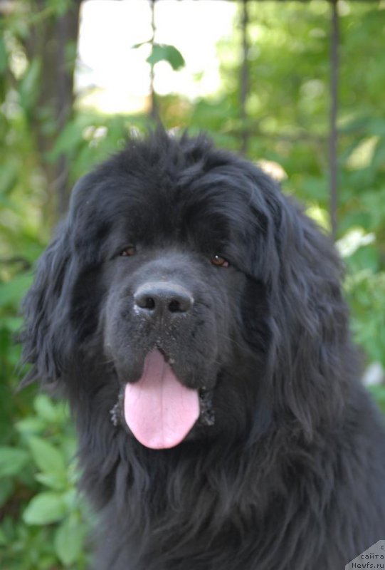 Фотография № 155569