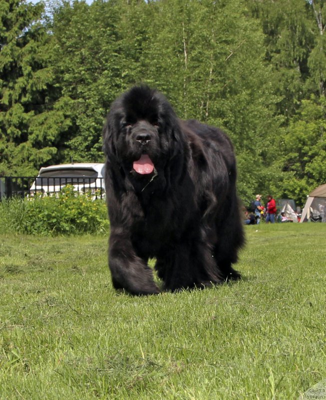 Фотография № 155584