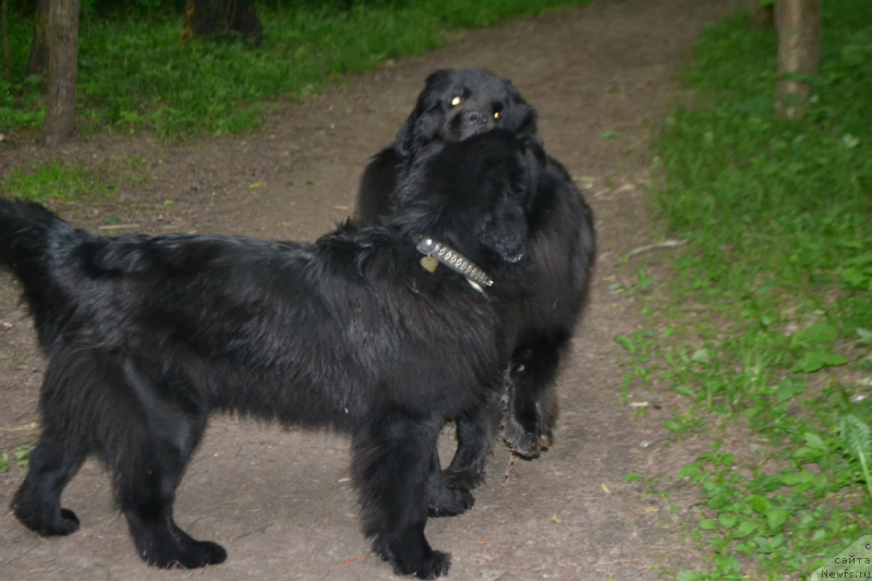 Фотография № 155598