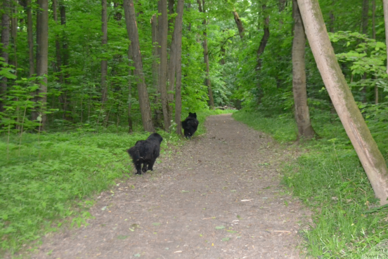 Фотография № 155600