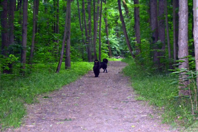 Фотография № 155601