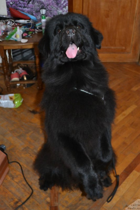 Фотография № 155607