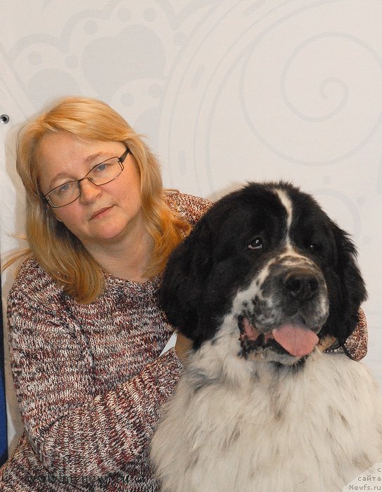 Фото: ньюфаундленд Kloofbears Lancelot for Sent Djons