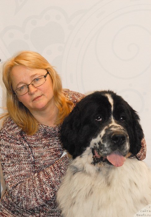 Фото: ньюфаундленд Kloofbears Lancelot for Sent Djons