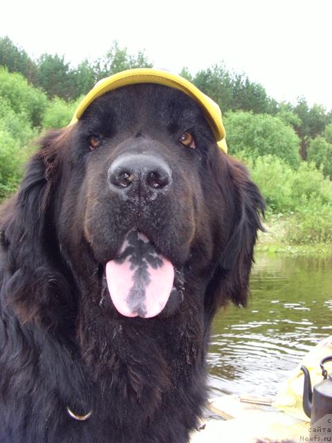 Фотография № 15584