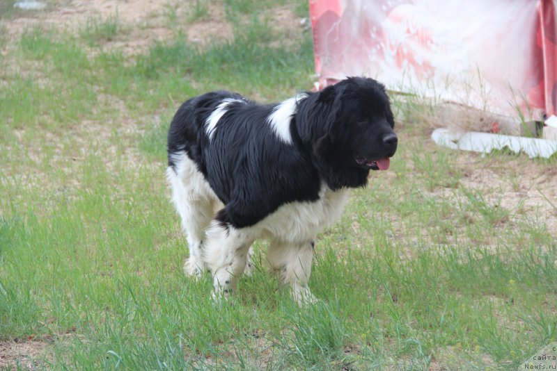 Фотография № 155848