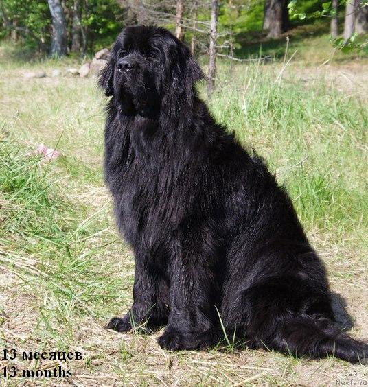 Фотография № 155855