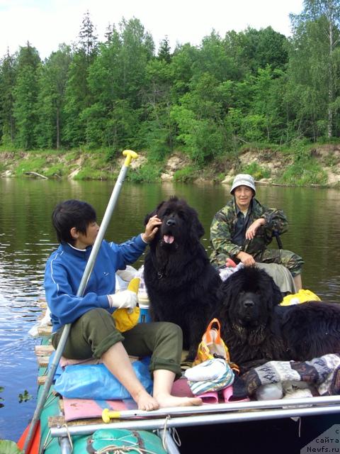 Фотография № 15586