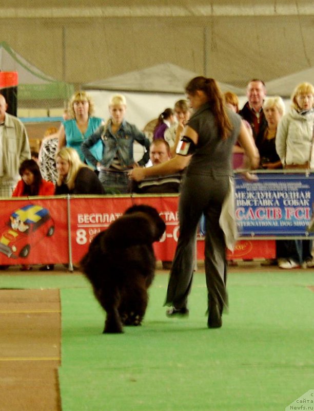 Фотография № 155862