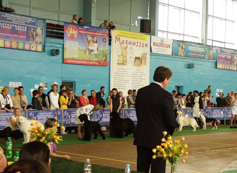 Фотография № 155863