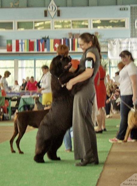 Фотография № 155866