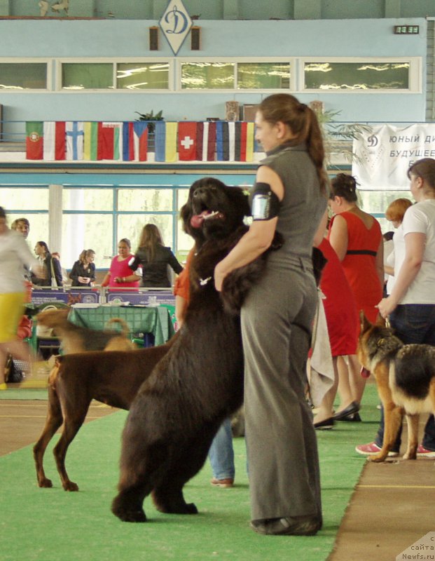 Фотография № 155867