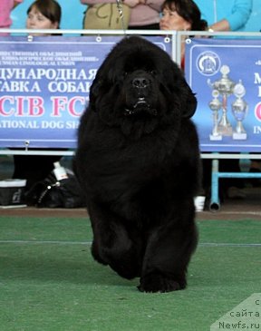 Фотография № 155869