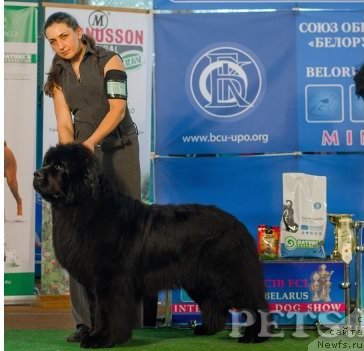 Фотография № 155870