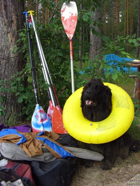 Фотография № 15588