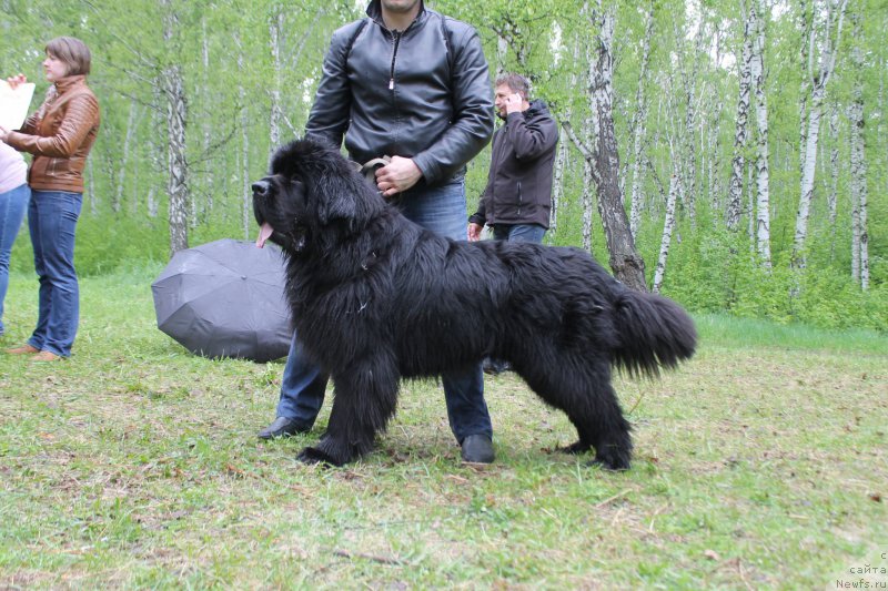 Фотография № 155885