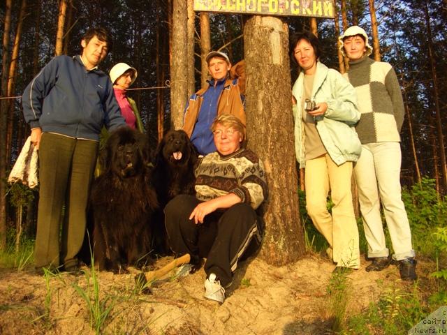 Фотография № 15589