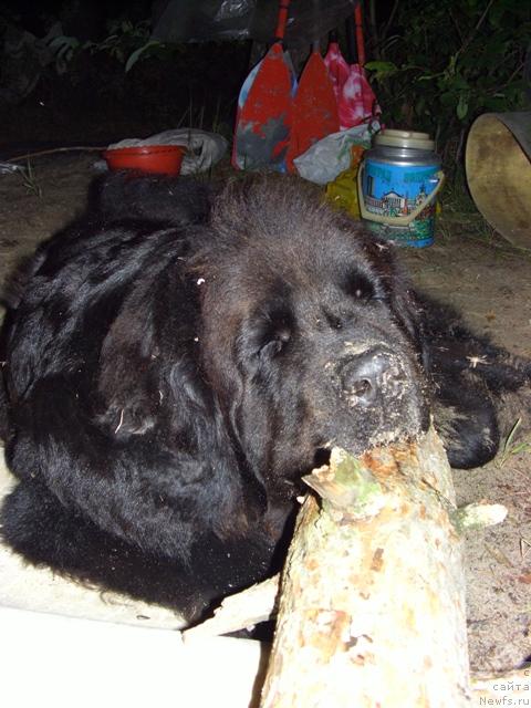 Фотография № 15590