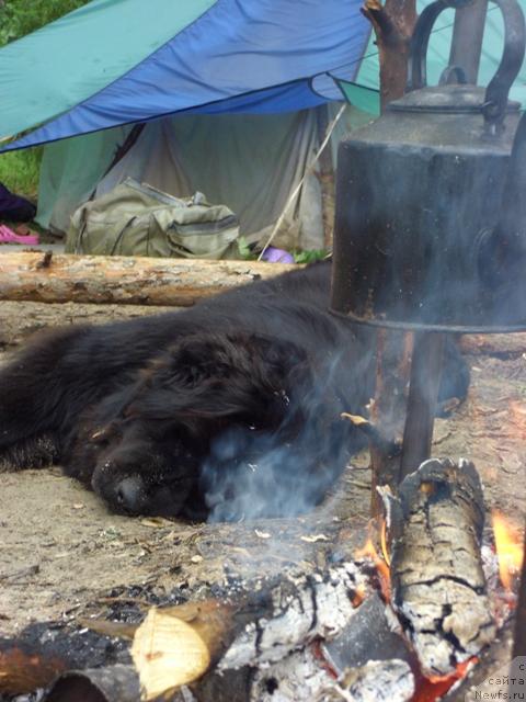 Фотография № 15591