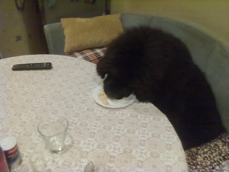 Фотография № 155971