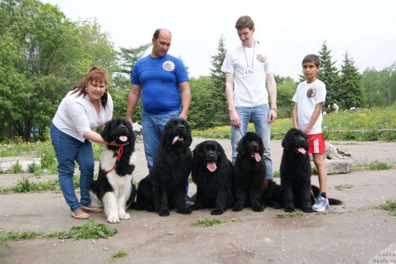 Фотография № 155974