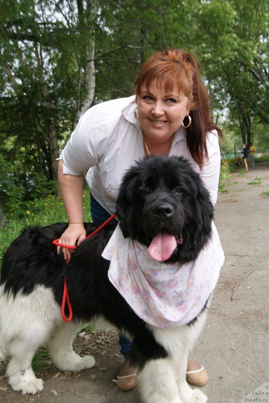 Фотография № 155977