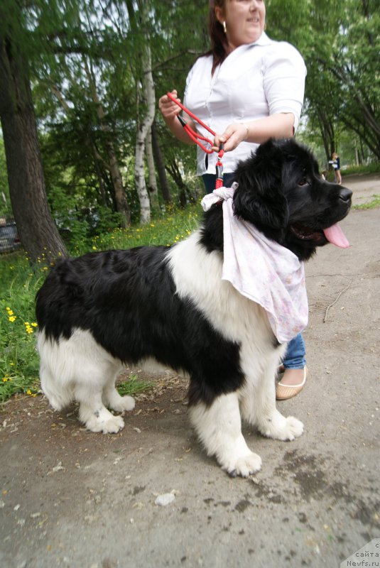 Фотография № 155979