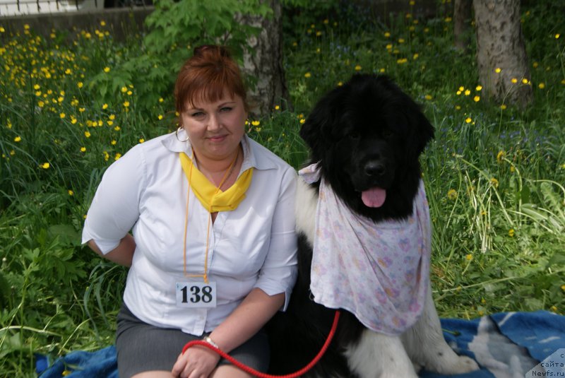 Фотография № 155980